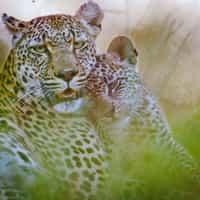 Excellent and personal service