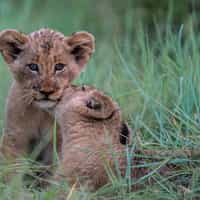 Excellent communication, and all travel needs met.