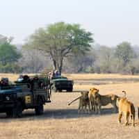 Atendimento profissional