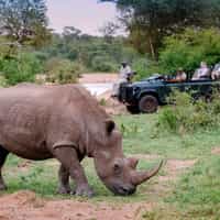 Amazing from start to finish.