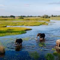 Professional and knowledgeable