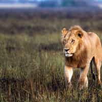 Picked the best for our budget and needs