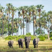 Excellent customer service!