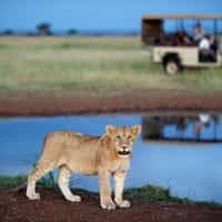 Unforgettable experience!