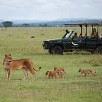 A+ Experience! It is hard to find enough space to express mysatisfaction.