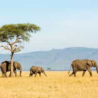 Best travel planning experience I have had