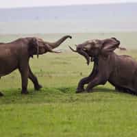 Timbuktu provides exceptional service!