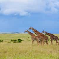 Timbuktu makes your Dream Trip come true!!