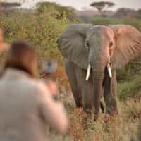 Fantastic Honeymoon / Safari Trip