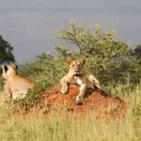 What a perfect trip!