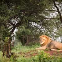 Top notch vacation experience