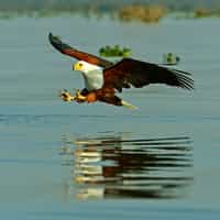 Every detail taken care of