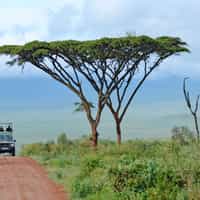 Build your own adventure!