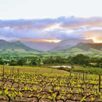 Amazing South African Experience with Timbuktu!!!!!!