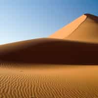 Say Yes! I am a repeat client because of Jonty & Timbuktu's level of detail