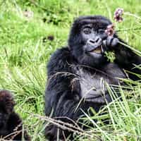 Highly, highly recommend Timbuktu. They will help you plan your dream trip!