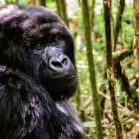 Exceptional service. Dream holiday