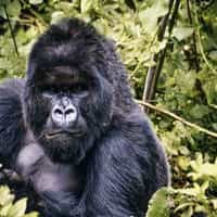 Wonderful attention to detail helping us plan a family trip of a lifetime