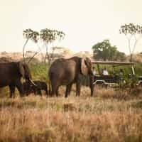 Exceptional service and attention to detail!