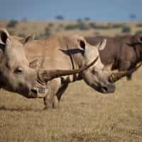 Exceptional service from beginning to end, flawless execution!