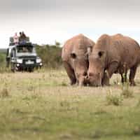 Traveling with Timbuktu: Always an Amazing Experience!