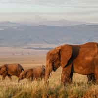 Good planners and organizers