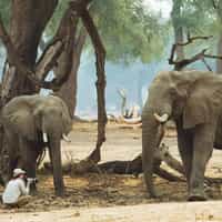 Loved Zimbabwe and Namibia