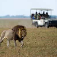 Memorable fantastic experiences.