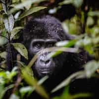 Amazing and Affordable VIP Travel Experience with TIMBUKTU