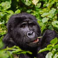 Awesome experience, highly recommend!