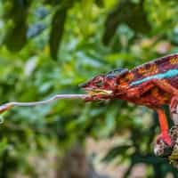 This has been a great experience planning our trip!