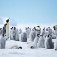 Exemplary Customer Service and Attention to Detail