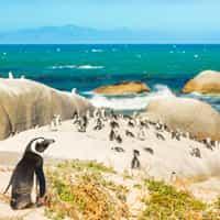 Booking with Timbuktu was the best decision ever!