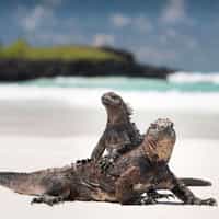 Excellent recommendations and concern for safety