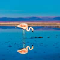 All in all very good, experience with Timbuktu travel. Very professional.