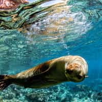 The Perfect Galapagos Adventure