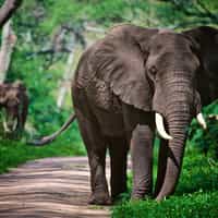 Brilliant website and personalised attention