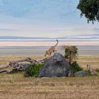 Timbuktu Travel, the best