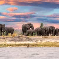 Jonty at Timbuktu organised the perfect South African adventure for us.