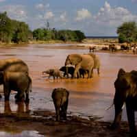 Comforting, eye for detail, excellent customer service