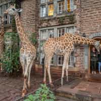 One stop shop for a vacation of a lifetime.