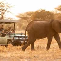 Magnificent Tanzania