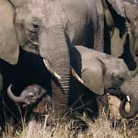 The trip of a lifetime to South Africa