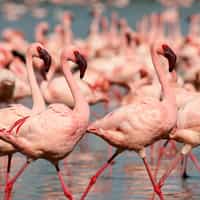 Best trip of a lifetime!