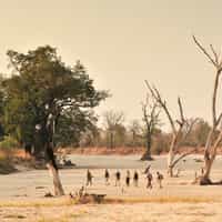 My dream trip expertly turned into reality