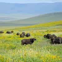 Great trip with a few bumps