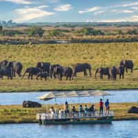 Unforgettable Zimbabwe and Botswana trip