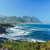 Perfect travel agents