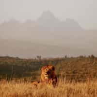 Wow! Such an epic personally curated Kenya Safari trip! Thank you Timbuktu!