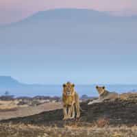 Never disappointed with Timbuktu